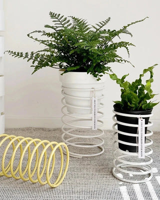 Pots & Planters