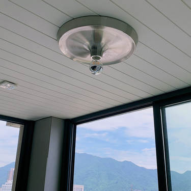 Della Wall and Ceiling Light