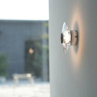 Clementine Wall & Ceiling Lamp