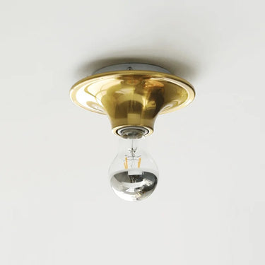 Hermina Wall & Ceiling Lamp