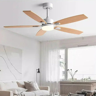 Ceiling Fans