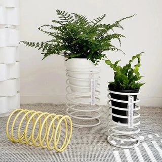 Pots & Planters