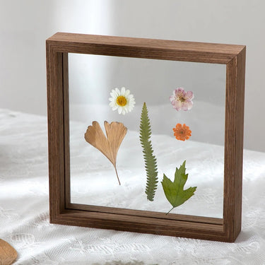Daintree Frame Collection