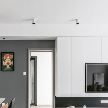 Ellis Surface Mounted Downlight