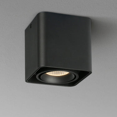 Brynleigh Surface Mounted Downlight