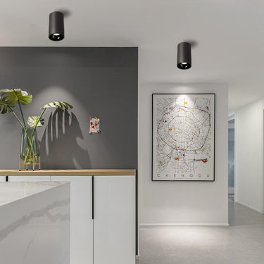 Denver Black & White Surface Mounted Downlight