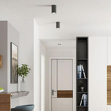 Ellis Surface Mounted Downlight