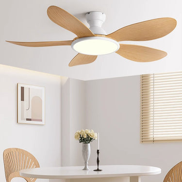 Jihan Fan