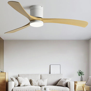 Cienna Fan