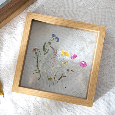 Daintree Frame Collection