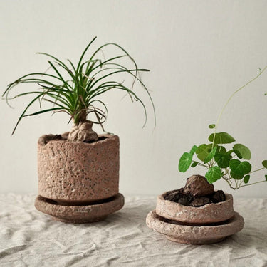 Iva Pottery Vase