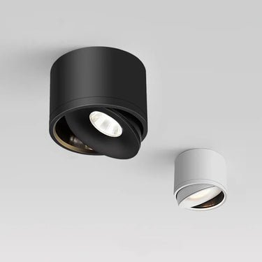 Paulina Surface Mounted Downlight