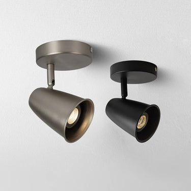 Calla Spotlight