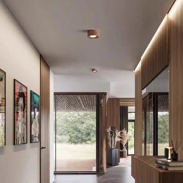 Aila Surface Mounted Downlight