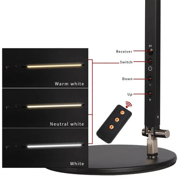 Modra Clamp Desk Lamp