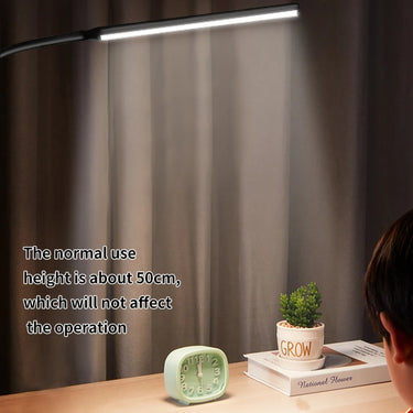 Lendi LED Desk Lamp