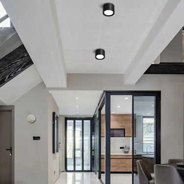 Emberlynn Surface Mounted Downlight