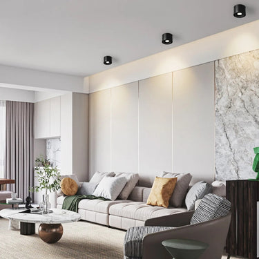 Paulina Surface Mounted Downlight