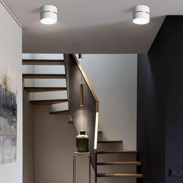 Theodora Surface Mounted Downlight