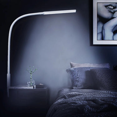 Lendi LED Desk Lamp